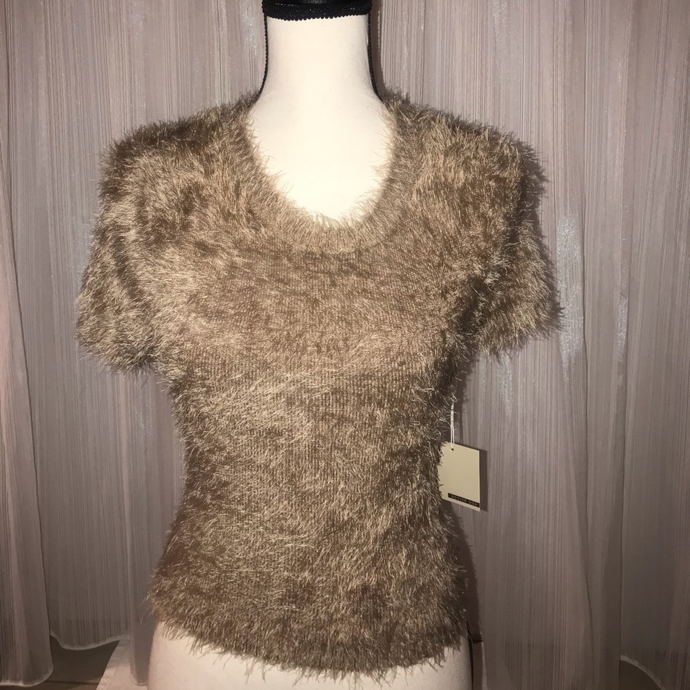 Cropped Scoop Neck Short Sleeves Sweater.